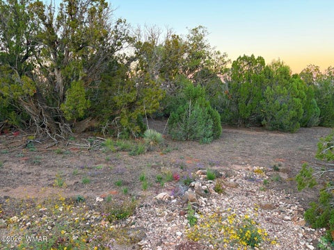 Tiny photo for 8332 Skyline Drive, Show Low, AZ 85901 (MLS # 263604)