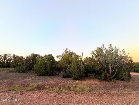 Tiny photo for 8332 Skyline Drive, Show Low, AZ 85901 (MLS # 263604)