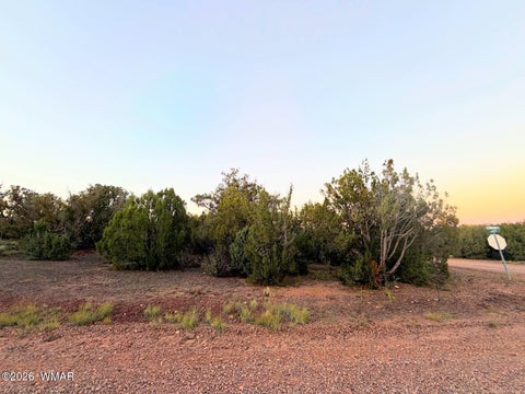 Tiny photo for 8332 Skyline Drive, Show Low, AZ 85901 (MLS # 263604)