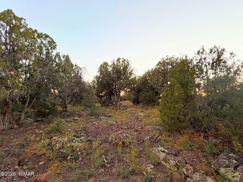 Tiny photo for 8332 Skyline Drive, Show Low, AZ 85901 (MLS # 263604)