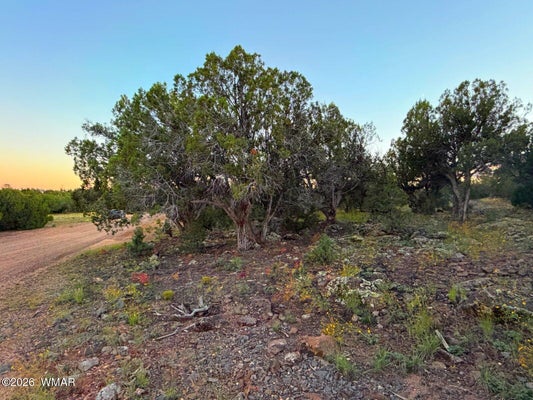 8332 SKYLINE DR, SHOW LOW, AZ 85901 - Image 6169d71df77ab4ca4e29c1d840ea0e62/401138277