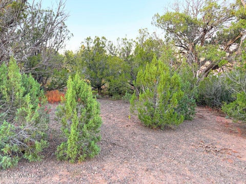 Tiny photo for 8332 Skyline Drive, Show Low, AZ 85901 (MLS # 263604)