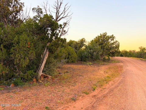 Tiny photo for 8332 Skyline Drive, Show Low, AZ 85901 (MLS # 263604)
