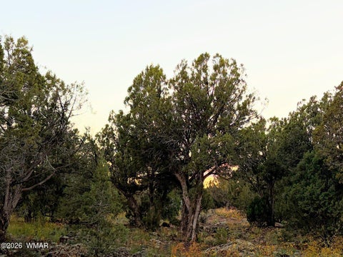 Tiny photo for 8332 Skyline Drive, Show Low, AZ 85901 (MLS # 263604)