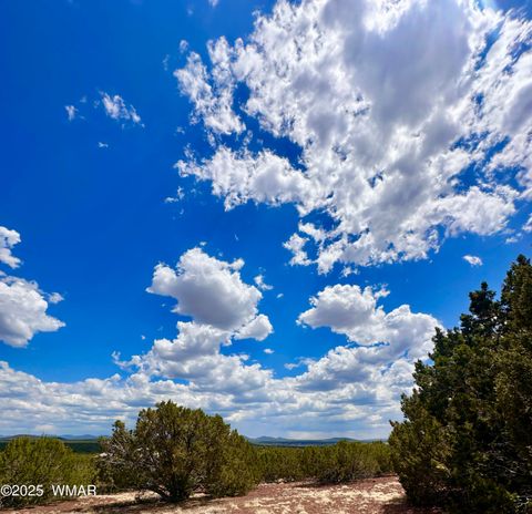 Tiny photo for TBD County Rd N8157, Concho, AZ 85924 (MLS # 256966)
