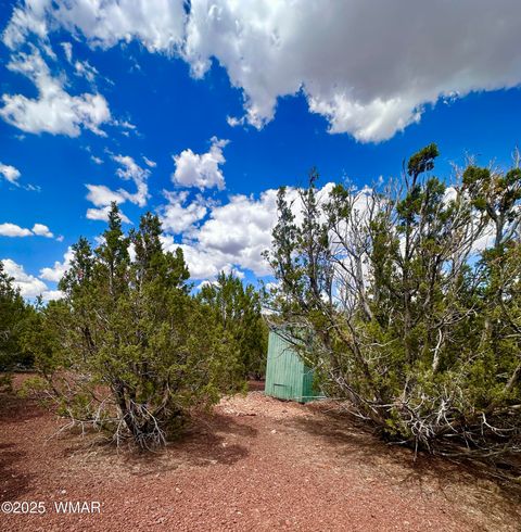 Tiny photo for TBD County Rd N8157, Concho, AZ 85924 (MLS # 256966)