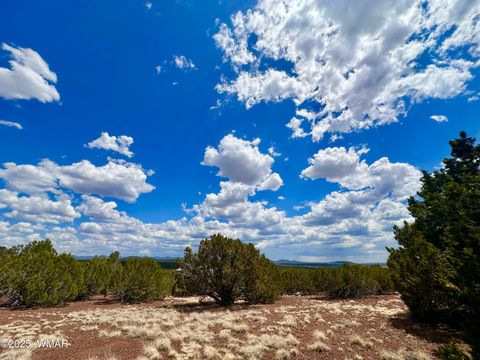 Photo of TBD County Rd N8157, Concho, AZ 85924 (MLS # 256966)