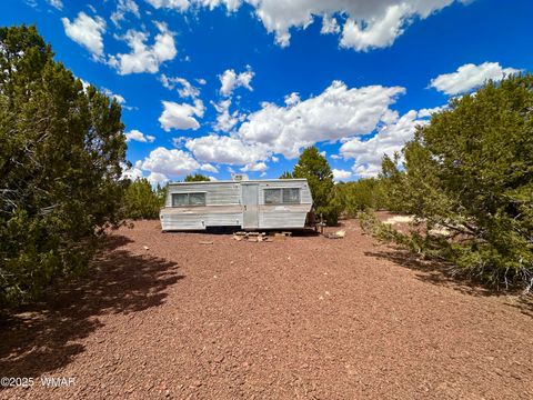 Tiny photo for TBD County Rd N8157, Concho, AZ 85924 (MLS # 256966)