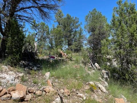 Photo of 2252 Mulligan Drive, Overgaard, AZ 85933 (MLS # 255679)