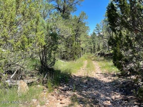 Tiny photo for 2252 Mulligan Drive, Overgaard, AZ 85933 (MLS # 255679)