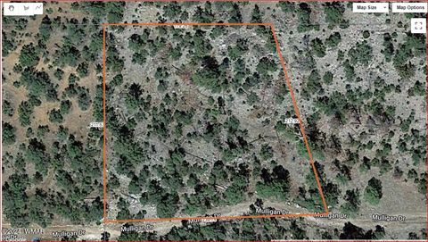 Tiny photo for 2252 Mulligan Drive, Overgaard, AZ 85933 (MLS # 255679)