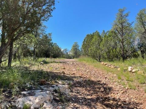 Tiny photo for 2252 Mulligan Drive, Overgaard, AZ 85933 (MLS # 255679)