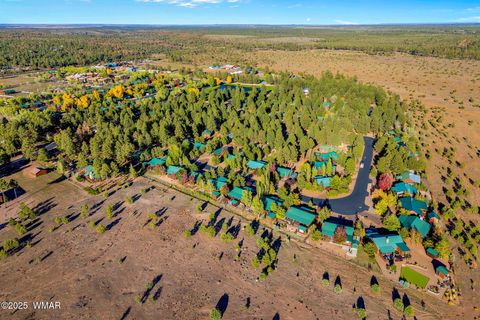 Tiny photo for 2654 Palomino Trail, Overgaard, AZ 85933 (MLS # 258230)