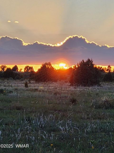 Tiny photo for 2654 Palomino Trail, Overgaard, AZ 85933 (MLS # 258230)