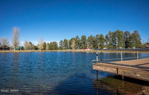 Tiny photo for 2654 Palomino Trail, Overgaard, AZ 85933 (MLS # 258230)