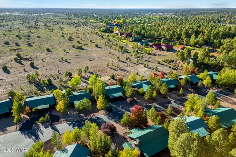 Tiny photo for 2654 Palomino Trail, Overgaard, AZ 85933 (MLS # 258230)