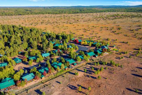 Tiny photo for 2654 Palomino Trail, Overgaard, AZ 85933 (MLS # 258230)
