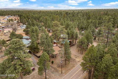 Tiny photo for 2051 Lumber Valley Road, Overgaard, AZ 85933 (MLS # 254551)