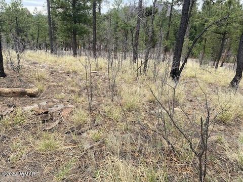 Tiny photo for 000 COUNTY ROAD 2193, Alpine, AZ 85920 (MLS # 250561)