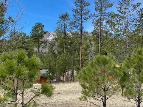 Tiny photo for 000 COUNTY ROAD 2193, Alpine, AZ 85920 (MLS # 250561)