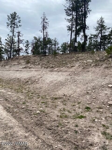 Tiny photo for 000 COUNTY ROAD 2193, Alpine, AZ 85920 (MLS # 250561)