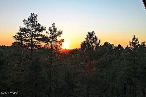 Tiny photo for 860 W Snow Creek Trail, Show Low, AZ 85901 (MLS # 262897)