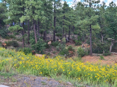 Tiny photo for 860 W Snow Creek Trail, Show Low, AZ 85901 (MLS # 262897)