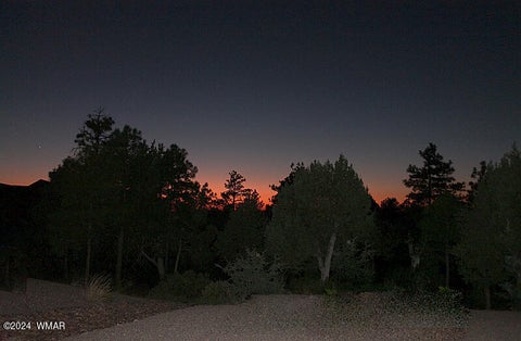Tiny photo for 860 W Snow Creek Trail, Show Low, AZ 85901 (MLS # 262897)