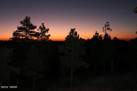 Tiny photo for 860 W Snow Creek Trail, Show Low, AZ 85901 (MLS # 262897)