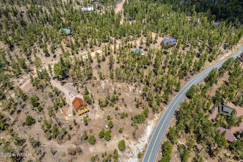 Tiny photo for 9 2076, Alpine, AZ 85920 (MLS # 251116)
