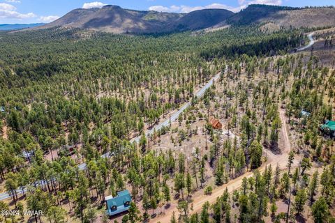 Tiny photo for 9 2076, Alpine, AZ 85920 (MLS # 251116)