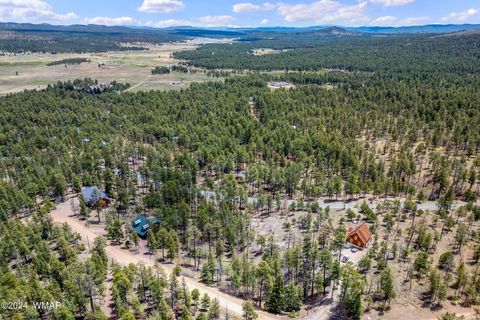 Tiny photo for 9 2076, Alpine, AZ 85920 (MLS # 251116)