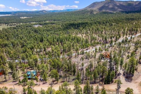 Tiny photo for 9 2076, Alpine, AZ 85920 (MLS # 251116)
