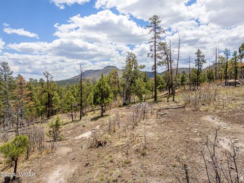 Tiny photo for 9 2076, Alpine, AZ 85920 (MLS # 251116)