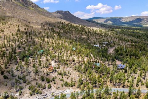 Tiny photo for 9 2076, Alpine, AZ 85920 (MLS # 251116)