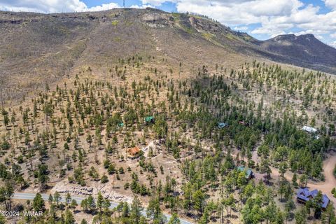 Tiny photo for 9 2076, Alpine, AZ 85920 (MLS # 251116)