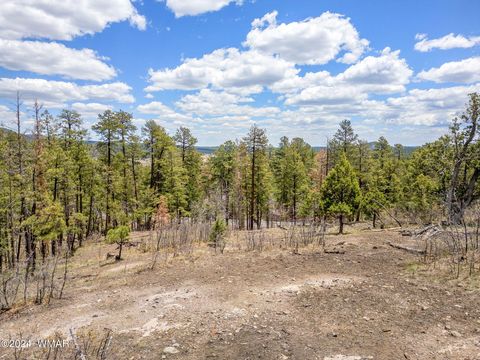 Tiny photo for 9 2076, Alpine, AZ 85920 (MLS # 251116)