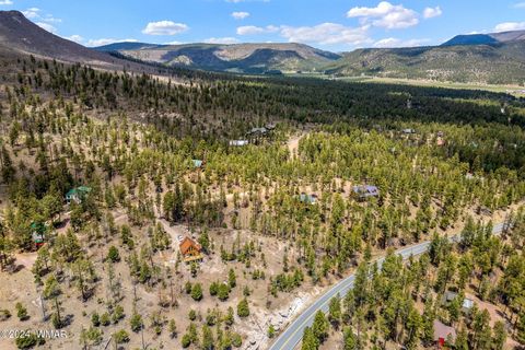 Tiny photo for 9 2076, Alpine, AZ 85920 (MLS # 251116)