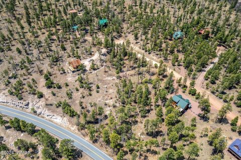 Tiny photo for 9 2076, Alpine, AZ 85920 (MLS # 251116)