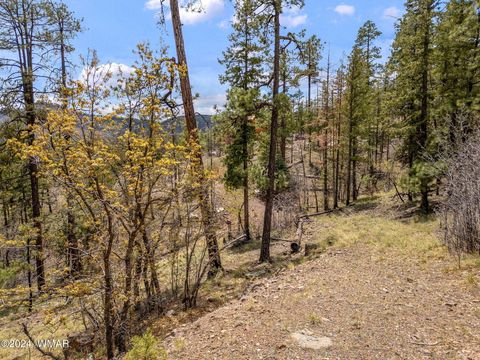 Tiny photo for 9 2076, Alpine, AZ 85920 (MLS # 251116)