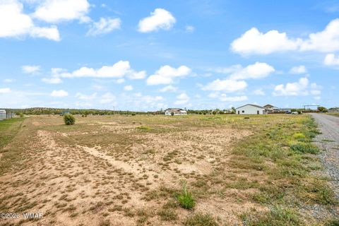 Tiny photo for 1091 School House Ln, Show Low, AZ 85901 (MLS # 260726)