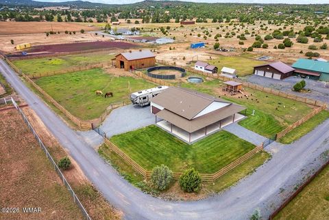 Tiny photo for 1091 School House Ln, Show Low, AZ 85901 (MLS # 260726)