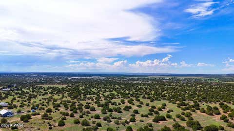 Tiny photo for 8543 & 8545 Loveridge Drive, Show Low, AZ 85901 (MLS # 262862)