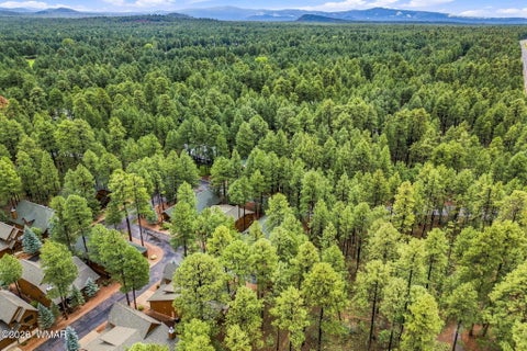 Tiny photo for 3915 Elk Hollow Lane, Pinetop, AZ 85935 (MLS # 262998)