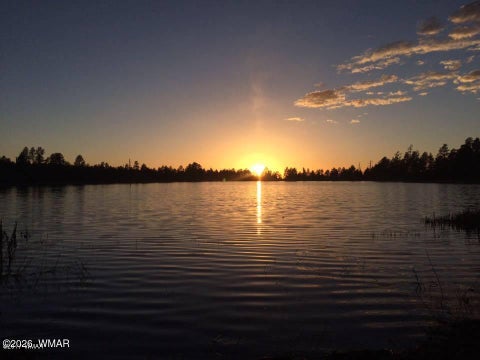Tiny photo for 3915 Elk Hollow Lane, Pinetop, AZ 85935 (MLS # 262998)