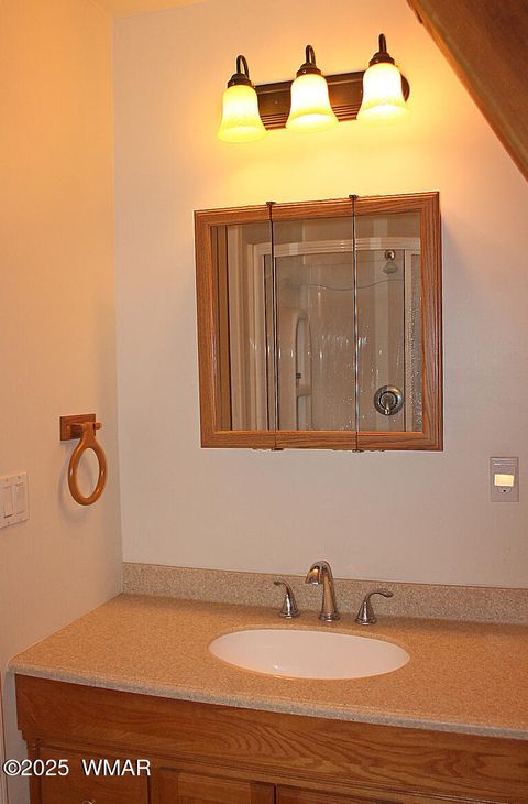 Tiny photo for 4256 Silver Fox Way, Show Low, AZ 85901 (MLS # 258294)