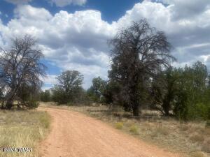 Tiny photo for 5785 N Muytala Lot D DR #D, Williams, AZ 86046 (MLS # 263384)