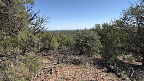 Tiny photo for TBD Bear Run #205-31-053, Show Low, AZ 85901 (MLS # 262866)