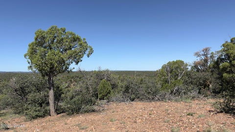 Tiny photo for TBD Bear Run #205-31-053, Show Low, AZ 85901 (MLS # 262866)