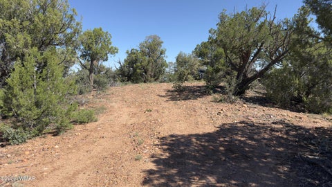 Tiny photo for TBD Bear Run #205-31-053, Show Low, AZ 85901 (MLS # 262866)